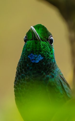 Costa Rica 2025 – Bild 189