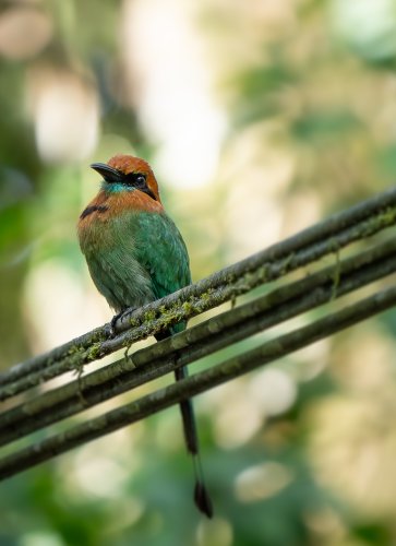 Costa Rica 2025 – Bild 223