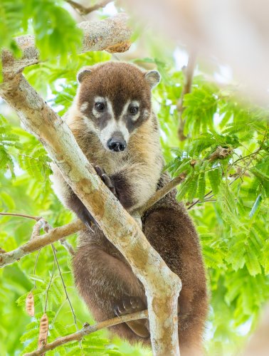 Costa Rica 2025 – Bild 47