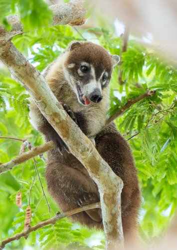 Costa Rica 2025 – Bild 50